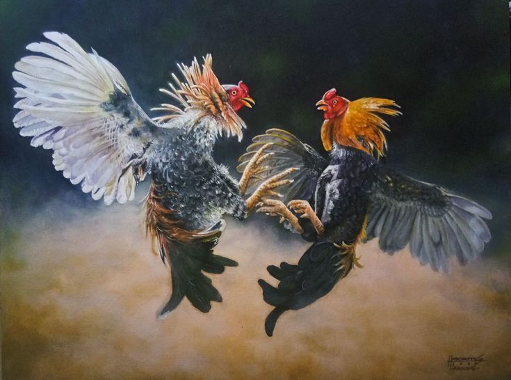 Sabong Harold R_ Macabitas Artwork Painting on Canvas